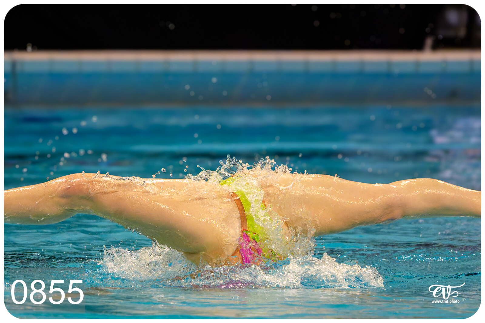 CHAMPIONNAT DE FRANCE DE NATATiON ARTISTIQUE N1 & ELITE 2026